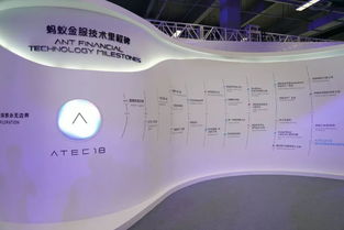 江蘇中理網(wǎng)絡(luò)科技 支付寶服務(wù)器意外中斷背后的互聯(lián)網(wǎng)銷(xiāo)售策略與風(fēng)險(xiǎn)管控