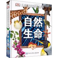 啟迪童心，點亮未來——少兒期刊的出版與使命